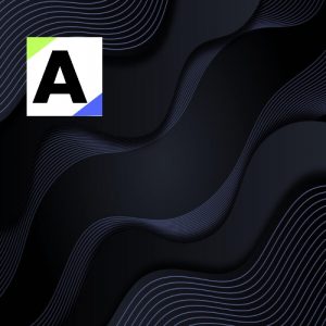Curso: Auditoría con énfasis en planeación y evaluación de riesgos