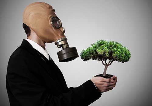 Habilidades que requieren contadores públicos para elaborar las tareas de sostenibilidad organizacional