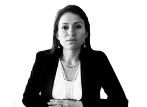 Actividades del auditor frente a la guerra entre Ucrania y Rusia