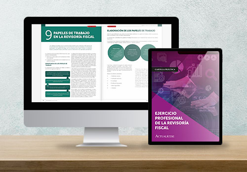 Ejercicio profesional de la revisoría fiscal: funciones, dictámenes e informes