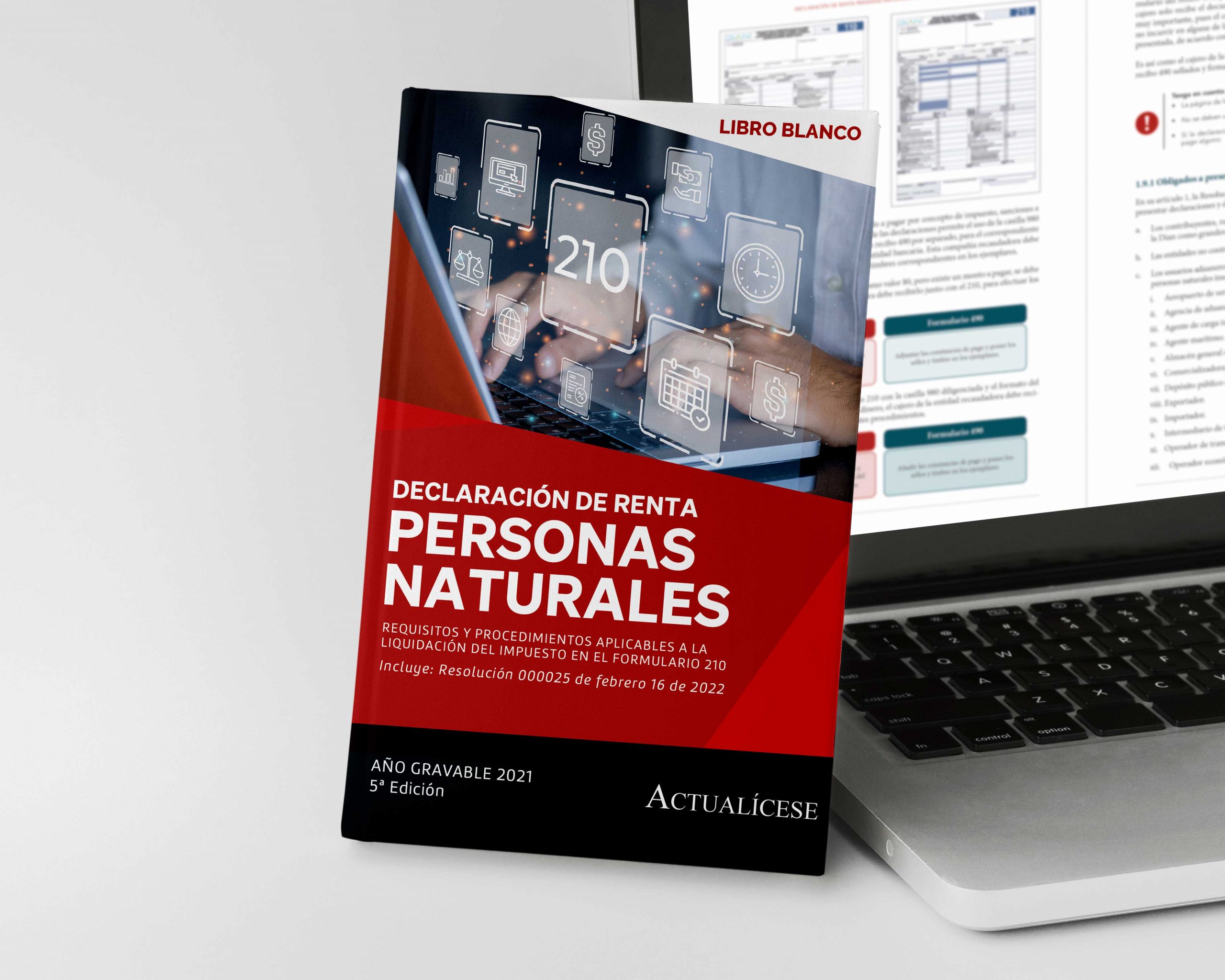 Declaración de renta de personas naturales: conoce sus requisitos y procedimientos