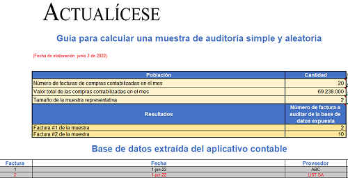 Guía para muestra de auditoría simple y aleatoria