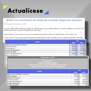[Guía] Modelo de presentación del estado de resultado integral por enfoques