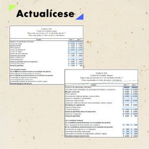 Modelo en Excel del estado de resultados con enfoque de gastos por naturaleza o función