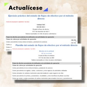 Estado de flujos de efectivo por el método directo: ejercicio práctico y plantilla en Excel