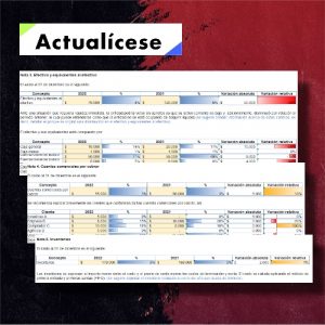 [Guía] Modelo de notas a los estados financieros (estado de situación financiera)