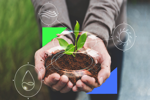 ¿Por qué generar sostenibilidad ambiental está por encima de incrementar las ventas para algunas empresas?