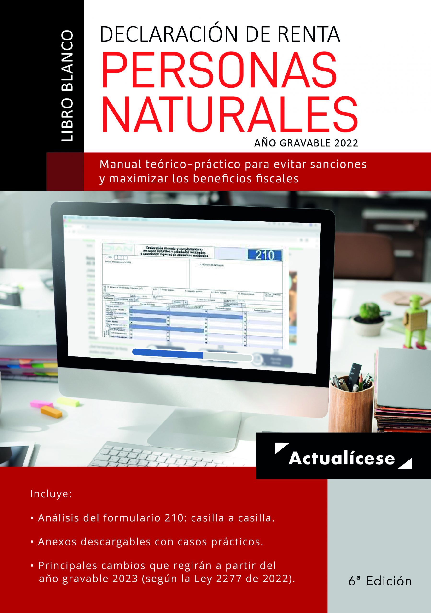 Complementos del Libro Blanco Declaración de renta de personas naturales, año gravable 2022