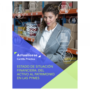 [Libro Digital] Estado de situación financiera: del activo al patrimonio en las pymes