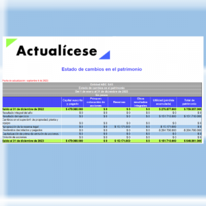 [Liquidador] Modelos y Formatos para la elaboración de estados financieros y cálculo de los indicadores financieros