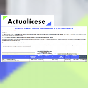 Plantilla en Excel para elaborar el estado de cambios en el patrimonio