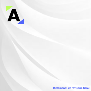 Dictámenes de revisoría fiscal