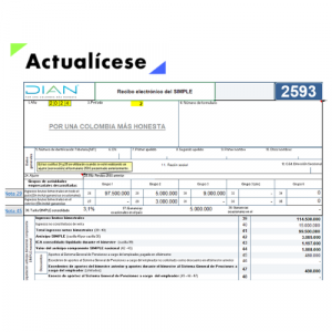 [Liquidador] Excel del formulario 2593 AG 2024: declaración de anticipos bimestrales – régimen simple