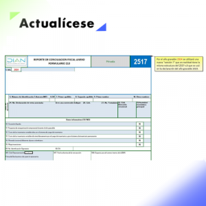[Liquidador] Excel del formulario 210 y formato 2517 para la declaración de renta de personas naturales residentes que llevan contabilidad AG 2024